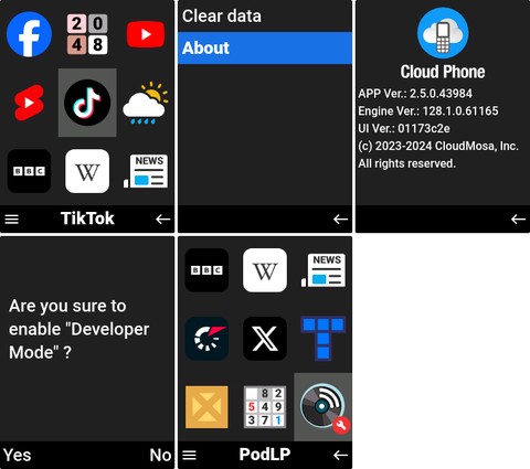 Enable Developer Mode on Cloud Phone