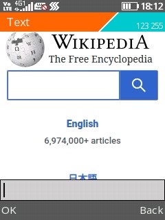 Embedded text input screenshot